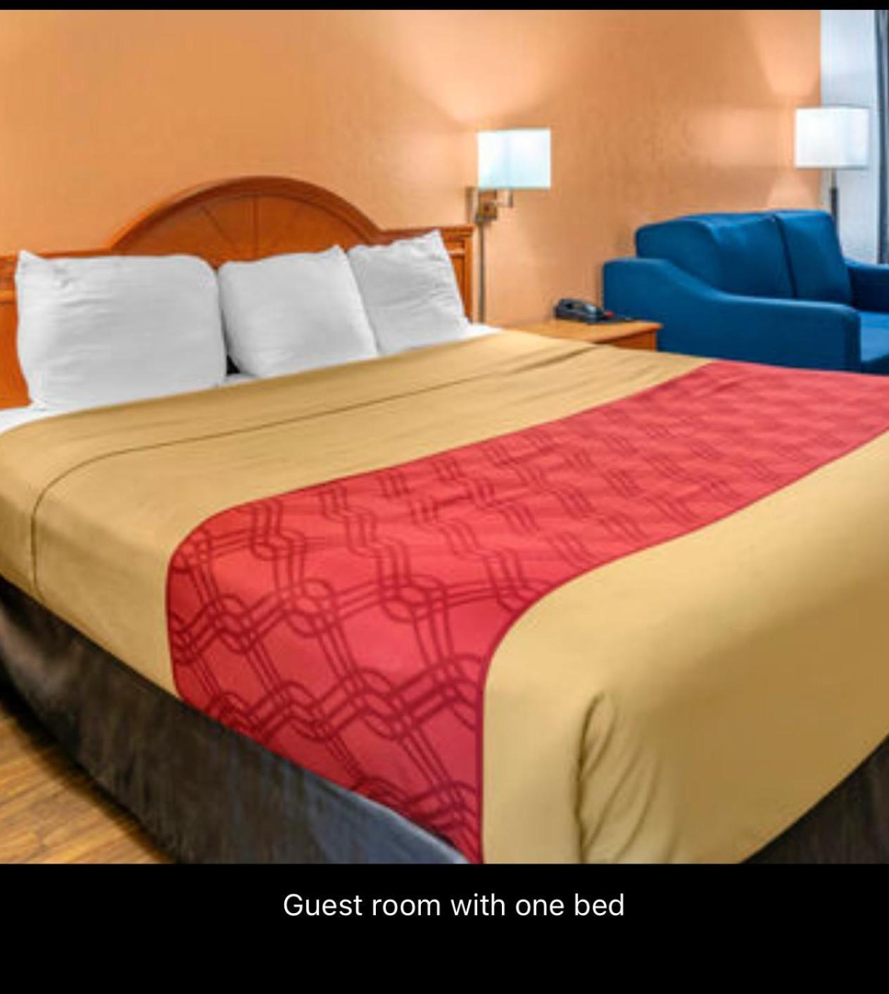 Econolodge Inn & Suites Albany Exterior photo